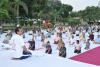 International Yoga Day Camp at IVRI