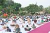 International Yoga Day Camp at IVRI