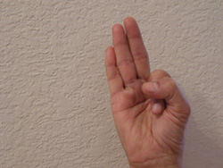 Vaayu mudra